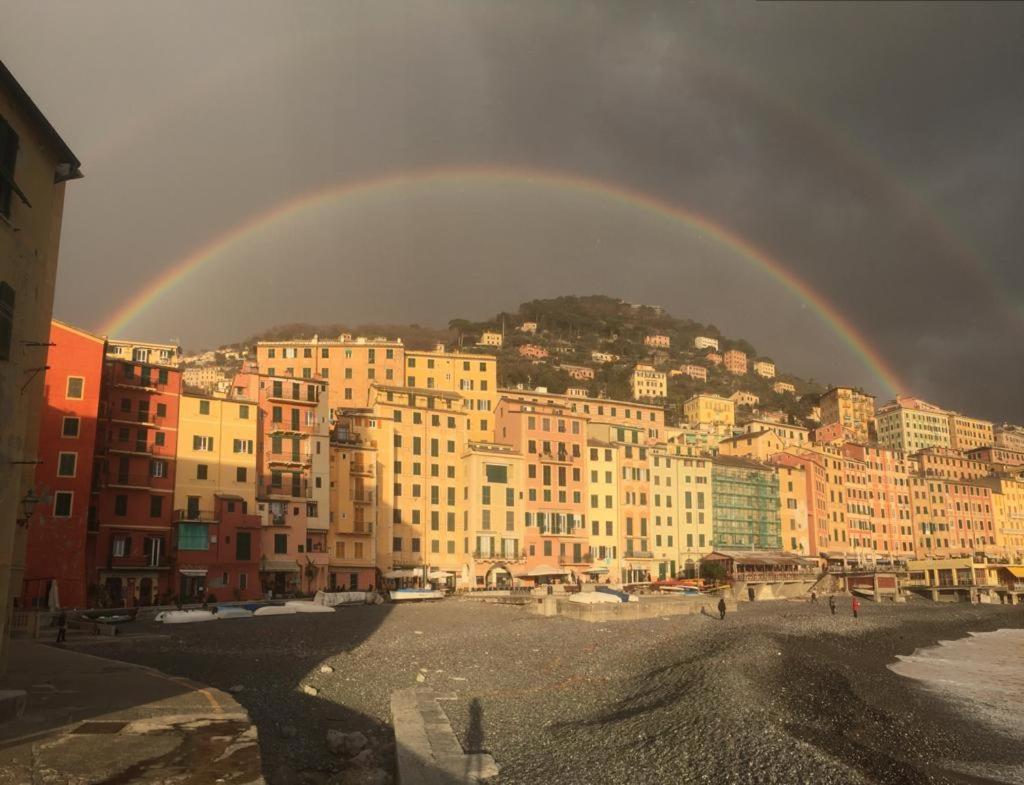 La Casa Della Fiore 卡莫利 外观 照片