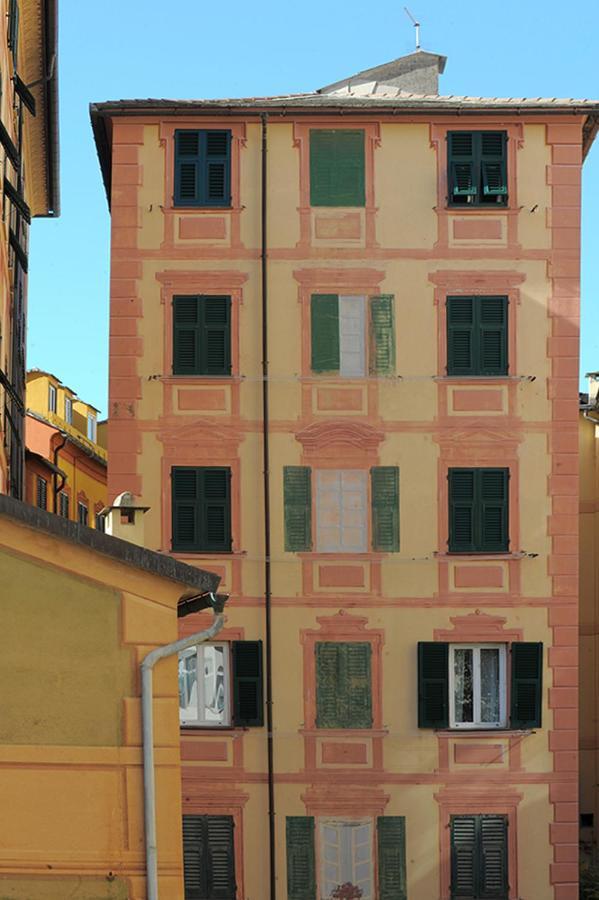 La Casa Della Fiore 卡莫利 外观 照片